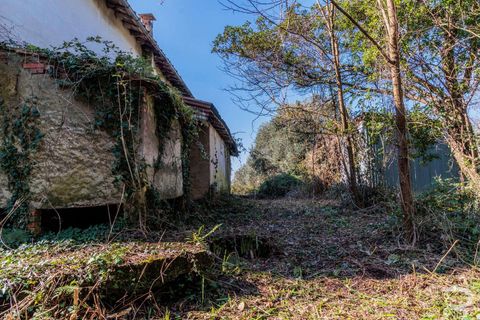 Farm hus i Buggiano, Pistoia, Buggiano - € 240.000 | Ref: R07069BURU-1319167 - foto 15