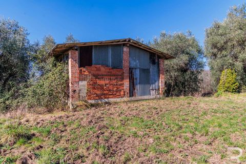 Farm hus i Buggiano, Pistoia, Buggiano - € 240.000 | Ref: R07069BURU-1319167 - foto 16