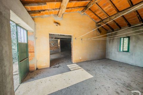 Farm hus i Buggiano, Pistoia, Buggiano - € 240.000 | Ref: R07069BURU-1319167 - foto 20