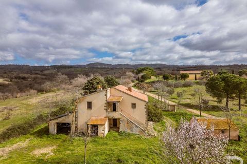 Farm hus i Scansano, Grosseto, Scansano - € 265.000 | Ref: R07066SCRU-1319229 - foto 2