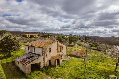 Farm hus i Scansano, Grosseto, Scansano - € 265.000 | Ref: R07066SCRU-1319229 - foto 3
