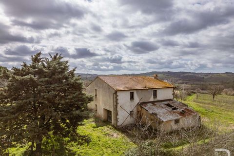 Farm hus i Scansano, Grosseto, Scansano - € 265.000 | Ref: R07066SCRU-1319229 - foto 5
