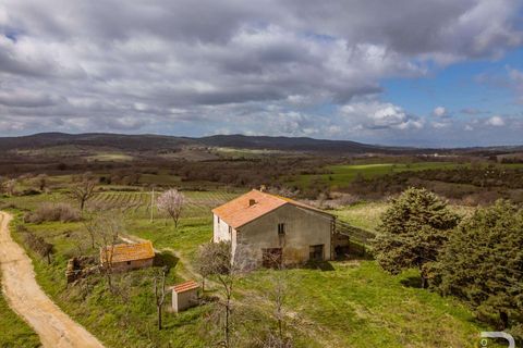 Farm hus i Scansano, Grosseto, Scansano - € 265.000 | Ref: R07066SCRU-1319229 - foto 6