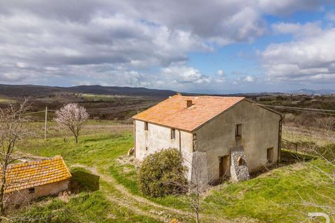 Farm hus i Scansano, Grosseto, Scansano - € 265.000 | Ref: R07066SCRU-1319229 - foto 7