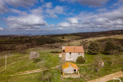 Farm hus i Scansano, Grosseto, Scansano - € 265.000 | Ref: R07066SCRU-1319229 - foto 8