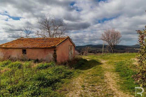 Farm hus i Scansano, Grosseto, Scansano - € 265.000 | Ref: R07066SCRU-1319229 - foto 18