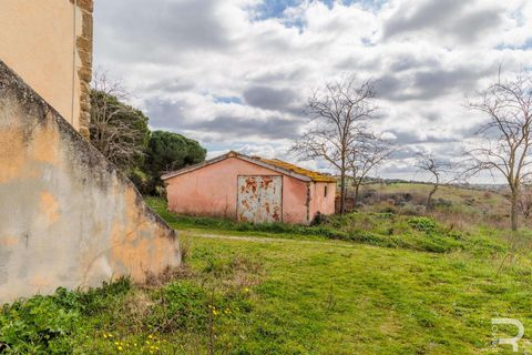 Farm hus i Scansano, Grosseto, Scansano - € 265.000 | Ref: R07066SCRU-1319229 - foto 19