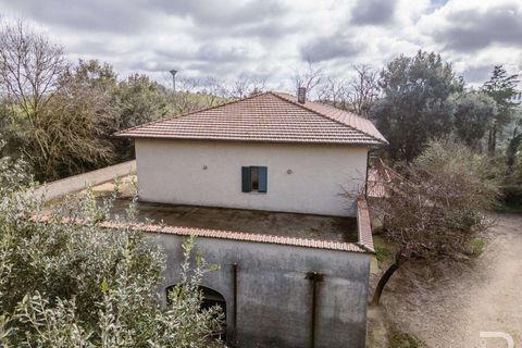Farm hus i Scansano, Grosseto, Scansano - € 2.000.000 | Ref: R07065SCRU-1319265 - foto 2