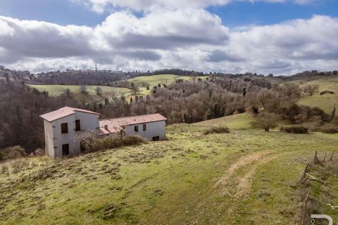 Farm hus i Scansano, Grosseto, Scansano - € 2.000.000 | Ref: R07065SCRU-1319265 - foto 9