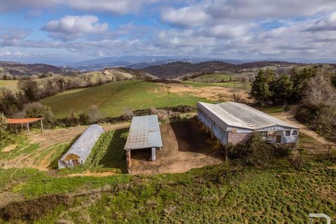 Farm hus i Scansano, Grosseto, Scansano - € 2.000.000 | Ref: R07065SCRU-1319265 - foto 11