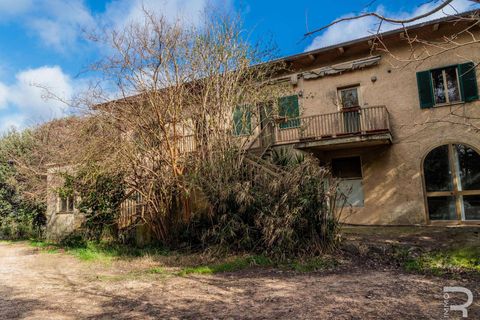 Farm hus i Scansano, Grosseto, Scansano - € 2.000.000 | Ref: R07065SCRU-1319265 - foto 13