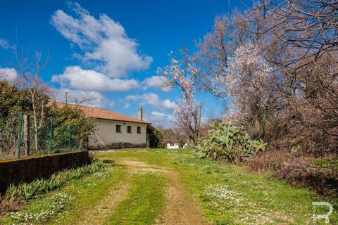 Farm hus i Manciano, Grosseto, Manciano - € 750.000 | Ref: R07061MARU-1319339 - foto 6