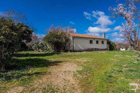 Farm hus i Manciano, Grosseto, Manciano - € 750.000 | Ref: R07061MARU-1319339 - foto 7