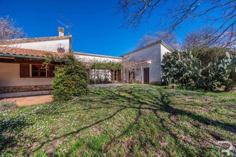Farm hus i Manciano, Grosseto, Manciano - € 750.000 | Ref: R07061MARU-1319339 - foto 12