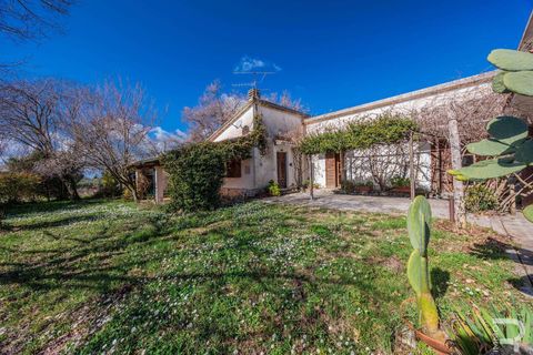 Farm hus i Manciano, Grosseto, Manciano - € 750.000 | Ref: R07061MARU-1319339 - foto 13