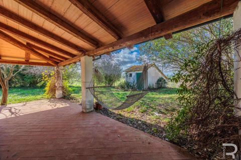 Farm hus i Manciano, Grosseto, Manciano - € 750.000 | Ref: R07061MARU-1319339 - foto 22