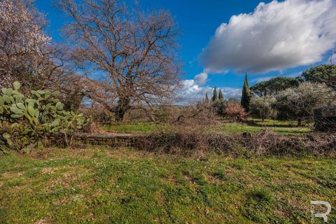 Farm hus i Manciano, Grosseto, Manciano - € 750.000 | Ref: R07061MARU-1319339 - foto 23