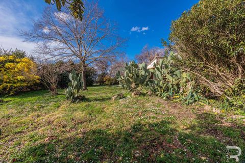 Farm hus i Manciano, Grosseto, Manciano - € 750.000 | Ref: R07061MARU-1319339 - foto 24