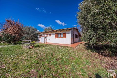 Farm hus i Manciano, Grosseto, Manciano - € 750.000 | Ref: R07061MARU-1319339 - foto 26