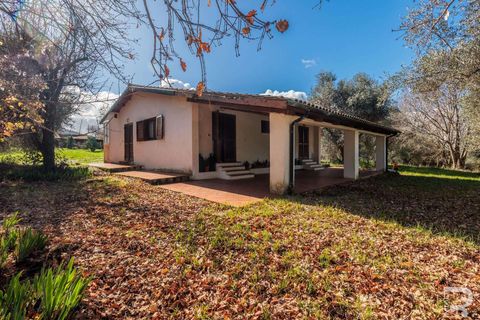 Farm hus i Manciano, Grosseto, Manciano - € 750.000 | Ref: R07061MARU-1319339 - foto 27