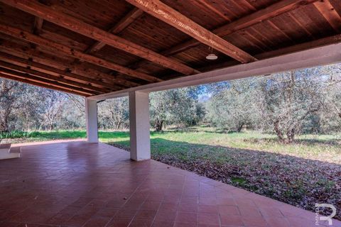 Farm hus i Manciano, Grosseto, Manciano - € 750.000 | Ref: R07061MARU-1319339 - foto 28