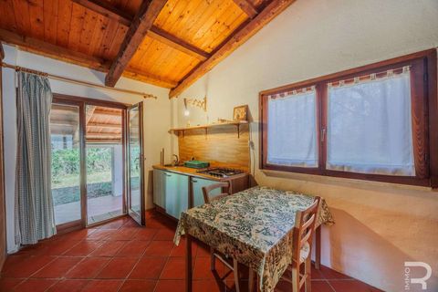 Farm hus i Manciano, Grosseto, Manciano - € 750.000 | Ref: R07061MARU-1319339 - foto 32