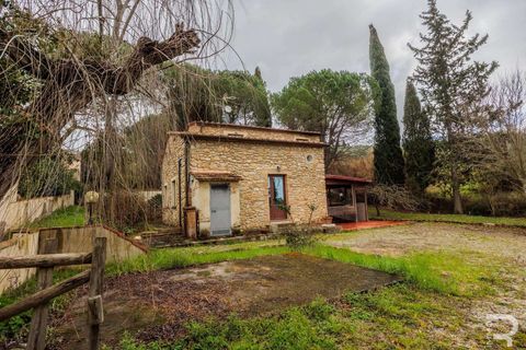 Farm hus i Volterra, Pisa, Volterra - € 1.050.000 | Ref: R07051VORU-1319713 - foto 7