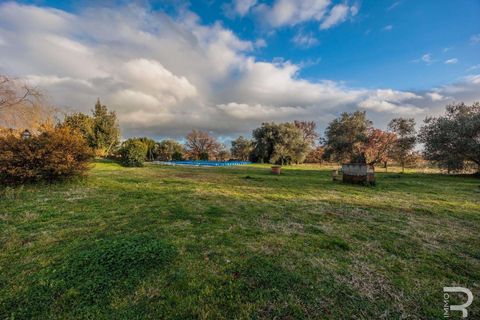 Farm hus i Sorano, Grosseto, Sorano - € 850.000 | Ref: R07050SORU-1319758 - foto 32