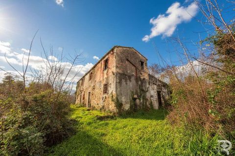 Farm hus i Carrara, Massa and Carrara, Carrara - € 150.000 | Ref: R07011CARU-1320367 - foto 6