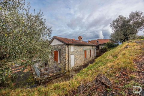 Farm hus i Pontremoli, Massa and Carrara, Pontremoli - € 660.000 | Ref: R07010PODH-1320377 - foto 38