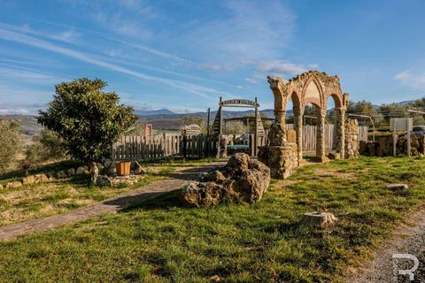 Landejendom i Cinigiano, Grosseto, Cinigiano - € 790.000 | Ref: R06999CIAG-1320603 - foto 14
