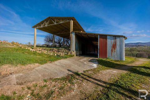 Landejendom i Cinigiano, Grosseto, Cinigiano - € 790.000 | Ref: R06999CIAG-1320603 - foto 18