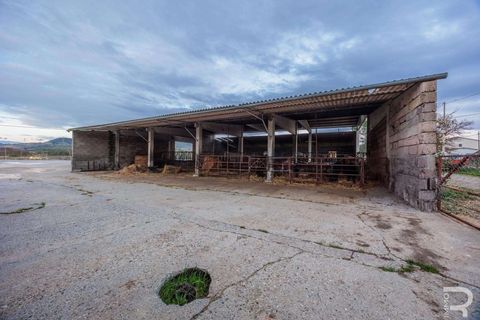Farm hus i Cinigiano, Grosseto, Cinigiano - € 850.000 | Ref: R06994CIRU-1320715 - foto 10