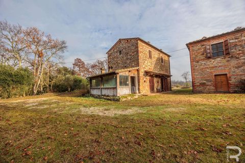 Farm hus i Lucignano, Arezzo, Lucignano - € 680.000 | Ref: R06894LURU-1321136 - foto 19