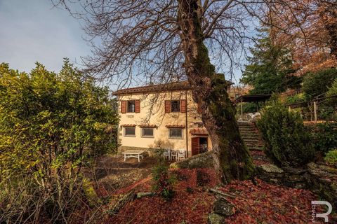 Farm hus i Rufina, Florence, Rufina - € 399.000 | Ref: R06891RURU-1321207 - foto 5