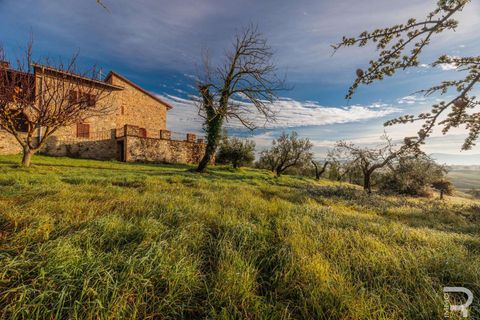 Farm hus i Casole d'Elsa, Siena, Casole d'Elsa - € 1.200.000 | Ref: R06912CARU-1322261 - foto 3