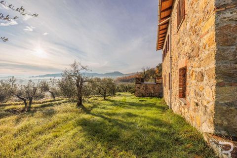 Farm hus i Casole d'Elsa, Siena, Casole d'Elsa - € 1.200.000 | Ref: R06912CARU-1322261 - foto 16