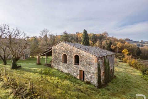 Farm hus i Casole d'Elsa, Siena, Casole d'Elsa - € 1.200.000 | Ref: R06912CARU-1322261 - foto 22