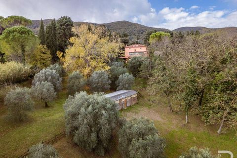 Villa a Collesalvetti, Livorno, Collesalvetti - € 430.000 | Ref: R06892COVI-1322394 - foto 2