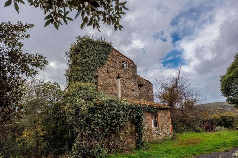 Farm hus i Roccastrada, Grosseto, Roccastrada - € 190.000 | Ref: R06891RORU-1322452 - foto 4