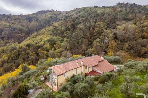 Farm hus i Buggiano, Pistoia, Buggiano - € 1.145.000 | Ref: R06878BURU-1322691 - foto 10