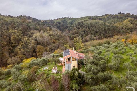 Farm hus i Buggiano, Pistoia, Buggiano - € 1.145.000 | Ref: R06878BURU-1322691 - foto 11