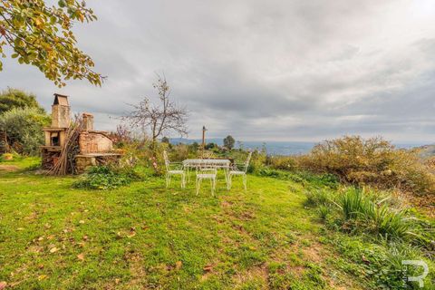Farm hus i Buggiano, Pistoia, Buggiano - € 1.145.000 | Ref: R06878BURU-1322691 - foto 21