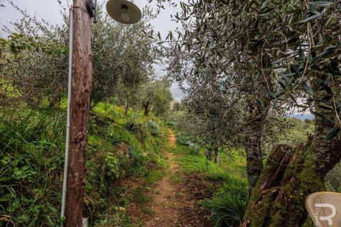 Farm hus i Buggiano, Pistoia, Buggiano - € 1.145.000 | Ref: R06878BURU-1322691 - foto 25