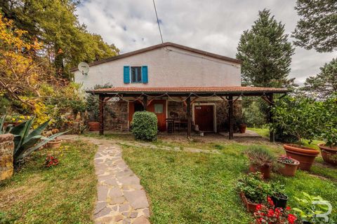 Farm hus i Roccastrada, Grosseto, Roccastrada - € 1.950.000 | Ref: R06874RORU-1322779 - foto 5