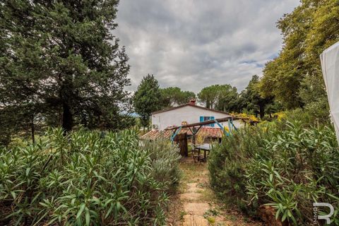Farm hus i Roccastrada, Grosseto, Roccastrada - € 1.950.000 | Ref: R06874RORU-1322779 - foto 11
