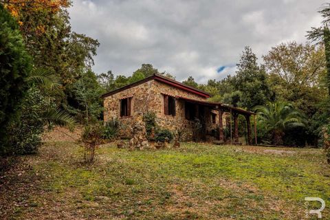 Farm hus i Roccastrada, Grosseto, Roccastrada - € 1.950.000 | Ref: R06874RORU-1322779 - foto 27