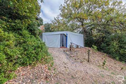 Farm hus i Roccastrada, Grosseto, Roccastrada - € 1.950.000 | Ref: R06874RORU-1322779 - foto 34