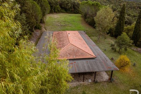 Farm hus i Roccastrada, Grosseto, Roccastrada - € 1.950.000 | Ref: R06874RORU-1322779 - foto 45