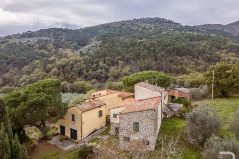 Farm hus i Loro Ciuffenna, Arezzo, Loro Ciuffenna - € 790.000 | Ref: R06855LORU-1322830 - foto 4